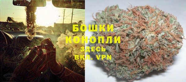 2c-b Верея