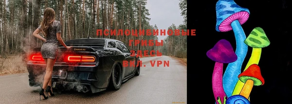 2c-b Верея